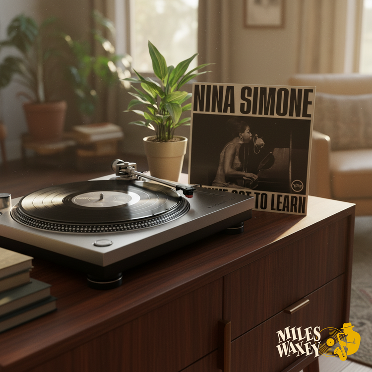 Nina Simone (1LP Vinyl) - You've Got To Learn