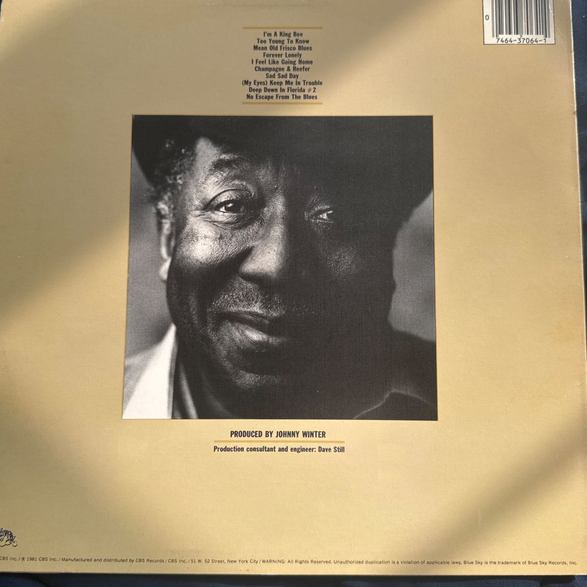 King Bee 1st press by Muddy Waters - Photo 2