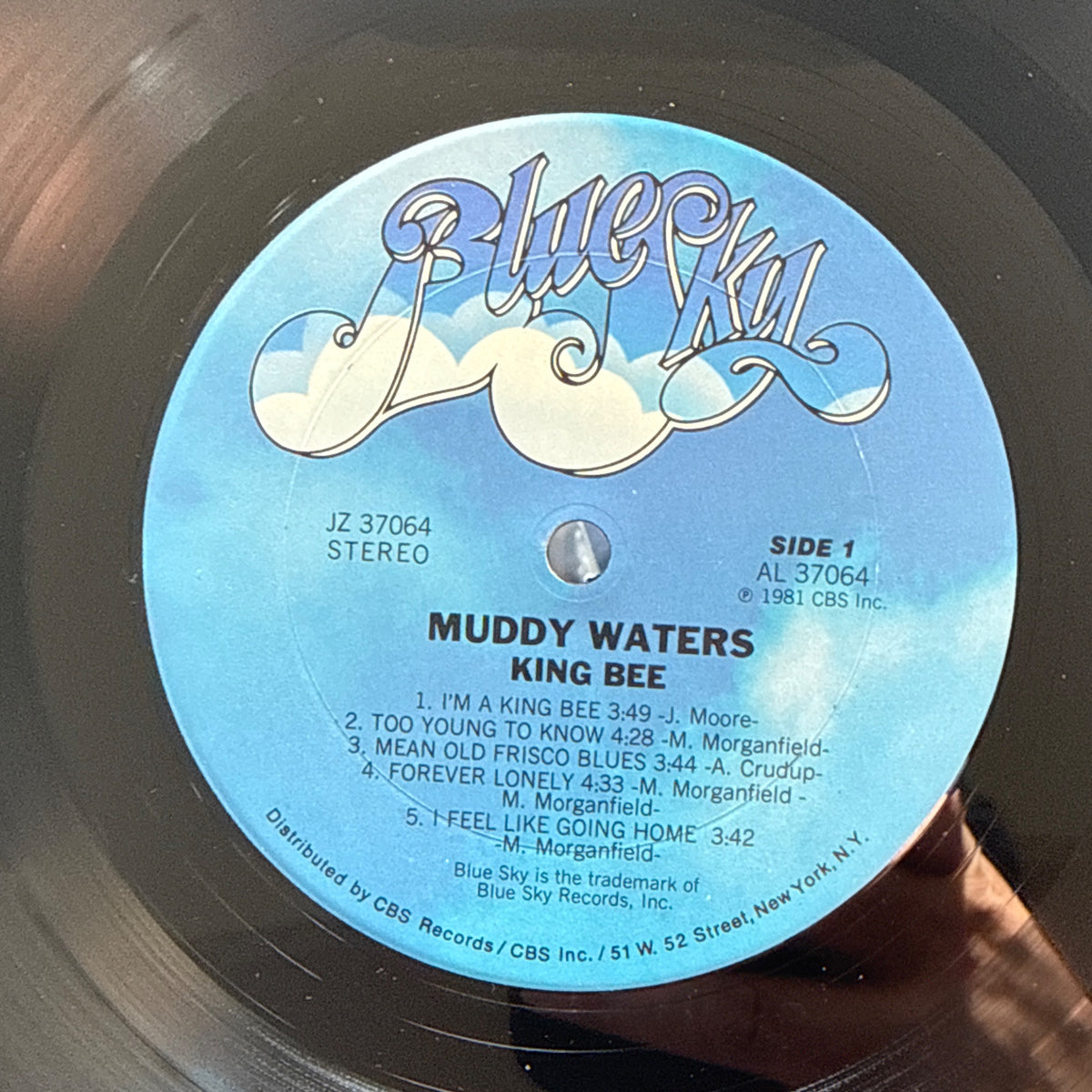 King Bee 1st press by Muddy Waters - Photo 4