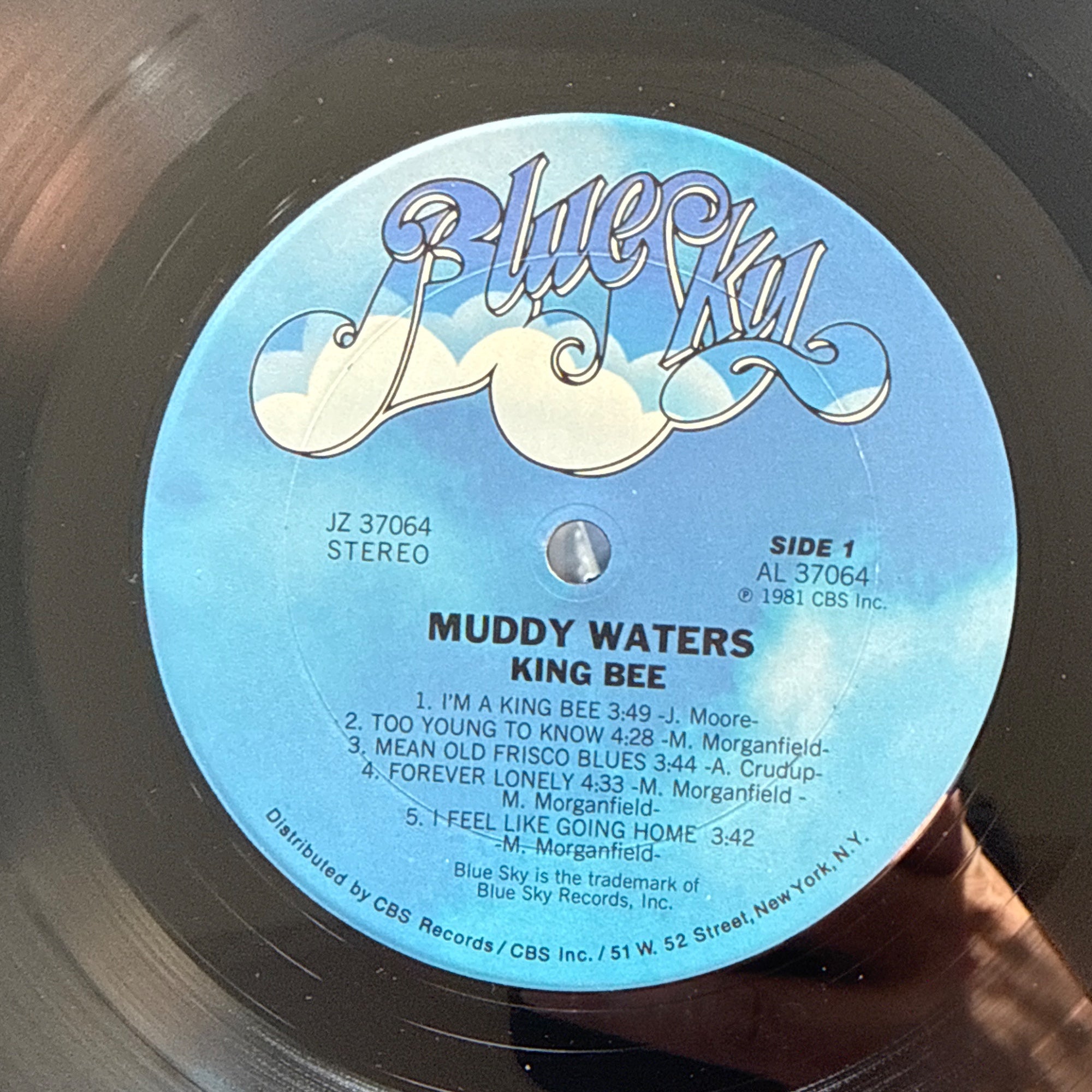 King Bee 1st press by Muddy Waters - Photo 4