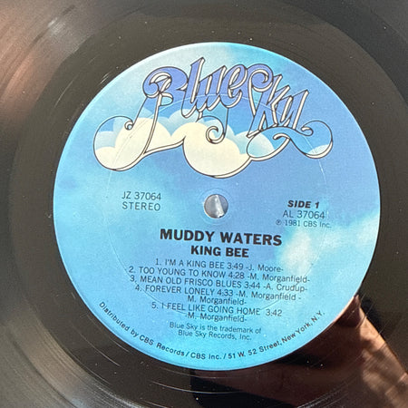 King Bee 1st press by Muddy Waters - Photo 4