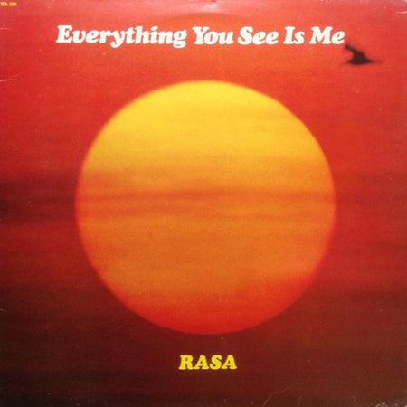 Everything You See Is Me by Rasa (9) album cover