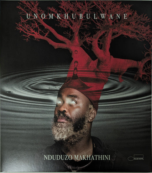 Unomkhubulwane by Nduduzo Makhathini album cover